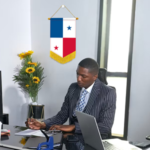 Banderas Pequeñas para Coche al por Mayor, 20x30cm, Decoración de Pared Estilo Panamá, Adornos Colgantes, Impresión Digital, Material Satinado - Product Image 2