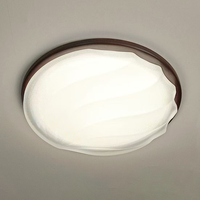 Ventes chaudes Plafonnier pour chambre à coucher et salon Luminaire de plafond à intensité variable Moderne Plafonnier LED en bois et acrylique Minimaliste
