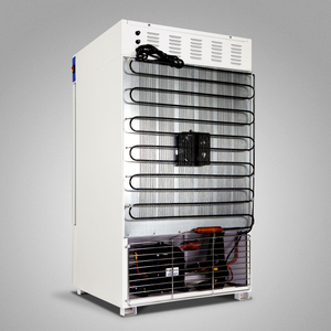 Spx incubadora biológica refrigerada, bactérias de choro, microorganizm - Product Image 3
