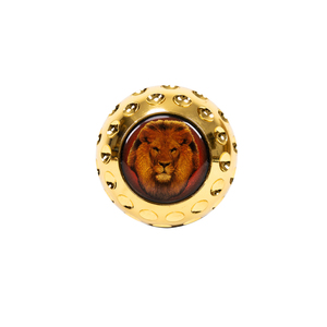 Canne de marche dorée à tête de lion, 2 sections détachables, style vintage, pour gentleman, bâton décoratif, accessoire de costume de cosplay - Product Image 3