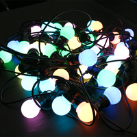 Kit de guirlande lumineuse décorative DC12V 5m/10m 10/20 LED IP65 adressable via application pour extérieur, paysage et fêtes