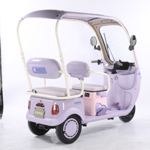 3 <b>Wheel</b> 60V 3 Speed Scooter Tricycle for 2 Adults Passenger Seat Home Roof - Product Image 4