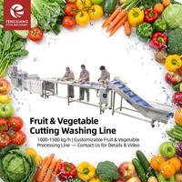 Fengxiang Fruit & Groente Snij- en Waslijn 1000-1500 kg/uur Aanpasbare Verwerkingsapparatuur voor Paprika, Raap, Longan