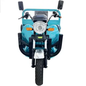 Hot sale high quality cargo tricycle three wheel electric motorcycle 175cc heavy farming cargo