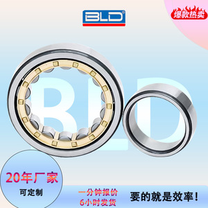 Rodamientos de rodillos cilíndricos ELD NJ206EM 30x75 mm P0 con jaula de latón de precisión para motores eléctricos - Product Image 5