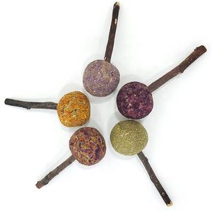 Aliments naturels pour animaux de compagnie pour lapin hamster cobaye bâtonnets molaires lapin jouets à mâcher collations cochon d'Inde bâtonnets de pomme nourriture pour lapin - Product Image 3