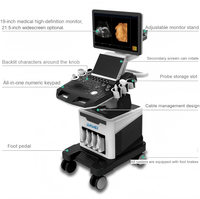 Échographe cardiaque, échographe vétérinaire, échocardiographie, échographe Doppler couleur, utilisé pour le diagnostic cardiologique des animaux