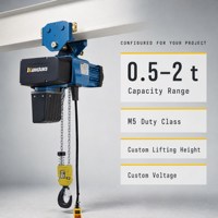 Palans électriques de 3 tonnes avec une hauteur de levage de 6 m pour la manutention des matériaux en entrepôt d'usine