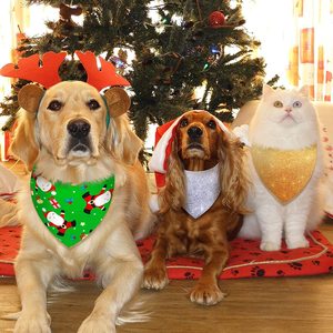 باندانا للكلاب بأحجام متعددة من البوليستر بياقة مثلثة، وشاح للكلاب والجراء بالجملة - Product Image 3