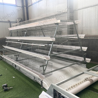 Cage à poules pondeuses de type 3/4 niveaux pour projet avicole, 10 000 poules pondeuses, galvanisée à chaud, abreuvement automatique, nettoyage du fumier