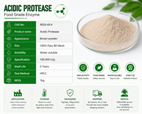 Enzyme protéase acide à faible pH, poudre de protéase acide fongique pour la hydrolyse des protéines, la fabrication de la sauce soja, qualité alimentaire et pour l'alimentation animale