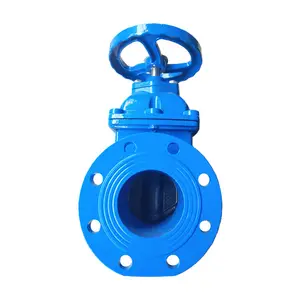 Cast Iron Valve Standard Steam Globe Gate Valve Water Ductile Cast Brass Iron Gate Valve