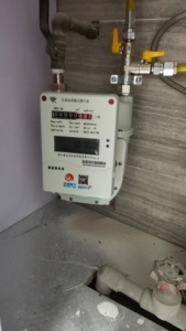 SGM G1.6 スチールケースダイアフラムガスメーター - Product Image 6