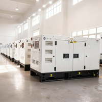 Générateur diesel silencieux Baudouin Yangdong WellPower 10-100 kW 20-100 kVA avec alternateur Stamford certifié ISO/CE, auto-démarrant