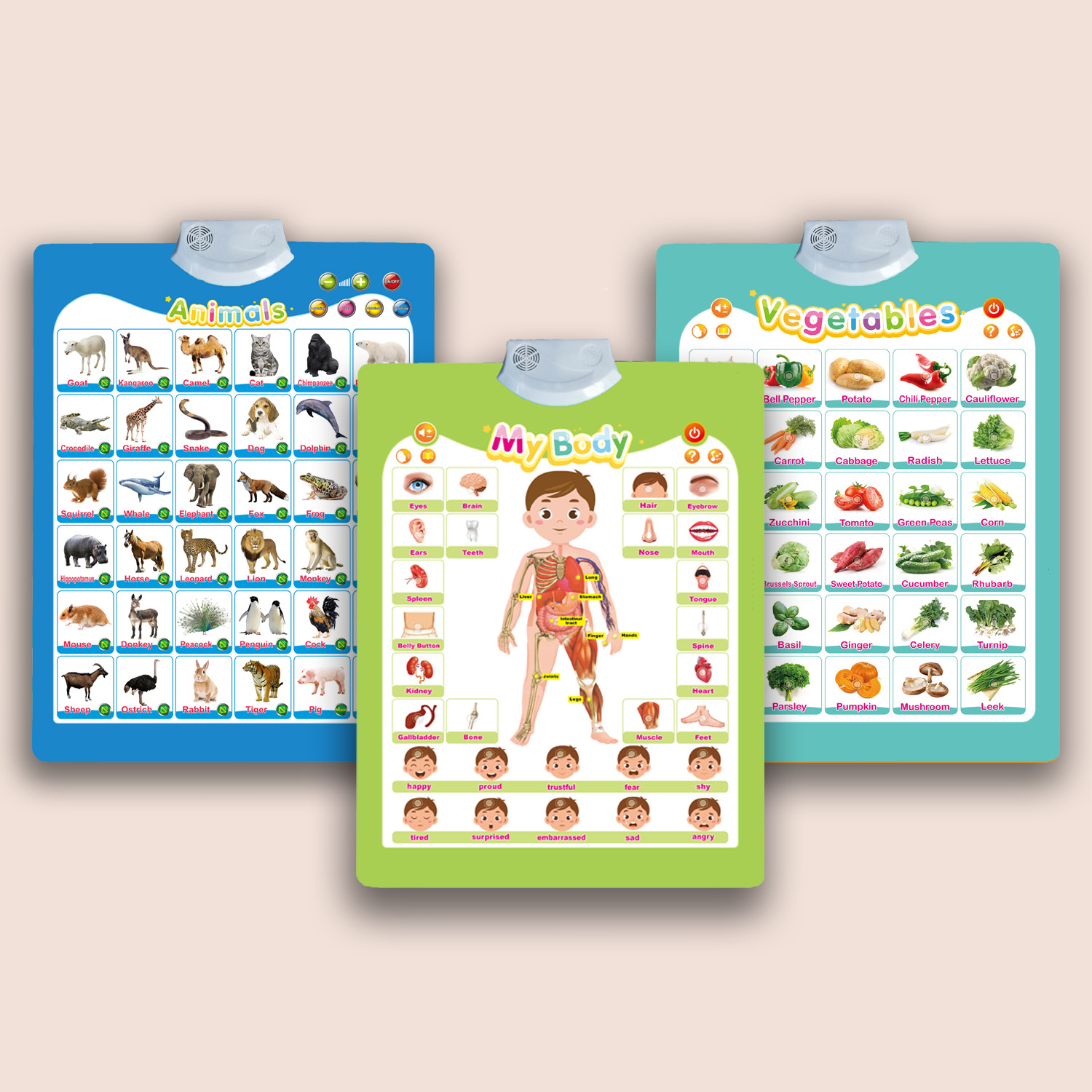 english words sound book