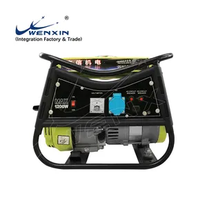 WENXIN fabrika doğrudan satış 2.4HP motor ışık 1 Kw jeneratör fiyat