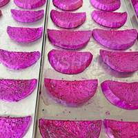Lyophilisateur de lyophilisateur de nourriture de fruits, machine commerciale de lyophilisateur de vide de légumes fruits de viande à usage domestique pour la nourriture
