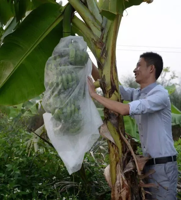 Tissu non tissé en PP, tissu non tissé pour sac banane