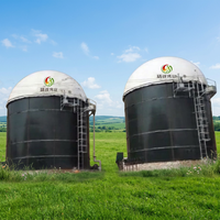 Digesteur anaérobie domestique automatique pour la conversion du fumier animal en biogaz, facile à utiliser