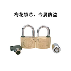 Candado de Latón de 30 mm con Forma de Flor de Ciruelo, Llave Universal, Impermeable, Resistente a la Oxidación, para Cajas de Medidores de Energía, Candado de 35 mm con Apertura Pasante para Caja de Medidor - Product Image 2