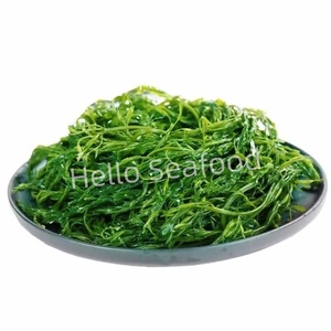 Precio al por mayor Salado Sargassum Algas Saludables Océano Vegetales Delicadeza - Product Image 3