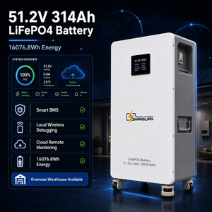 Batería LiFePO4 de 51.2V 314Ah 16kWh con WiFi, Monitoreo en la Nube, BMS Inteligente, 6000 Ciclos, Almacenamiento Solar para Casa Móvil, Stock en Polonia, UE - Product Image 1