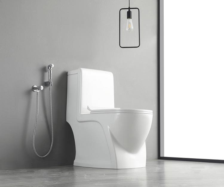 ไซโฟนิค