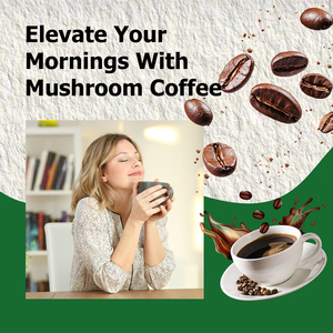 Hot Mushroom Coffee Sodium Powder Support Custom Shiitake Strengthen Immune System Balanced Energy Level Balance Extract Coffee - Product Image 5