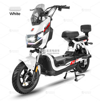 Vélo Électrique Léger Hercules Battleship avec Moteur Arrière Brushless 48V, 3 Vitesses, Batterie au Plomb, Personnalisable OEM/ODM, Usine Source Export