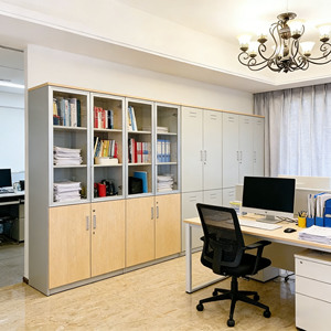 Custom-made Embedded <strong>Wall</strong> Bookcase, Modern Wooden Bookshelf, Office <strong>Partition</strong> Cabinet. - Product Image 6