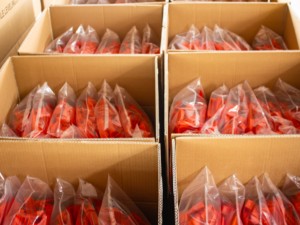 Gạch phụ kiện gạch miếng đệm như san lấp mặt bằng để cài đặt hoàn hảo nhanh hơn Thiết kế hiện đại dễ dàng gạch san lấp mặt bằng hệ thống Hoàn hảo cao - Product Image 4