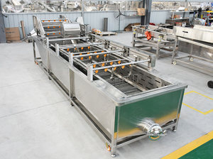 Fresco di fabbrica Fragola Apparecchiature Per Il Trattamento di Lavaggio Rondella di Frutta Prezzo - Product Image 6