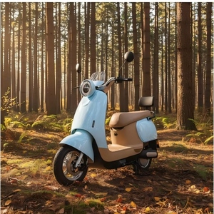 Moto électrique tout-terrain pour adultes 800W 48V avec batterie au plomb-acide, marque TF, 40-60 <span class=keywords><strong>km</strong></span>/h, puissante et pleine de joie, vente en gros d'usine - Product Image 4