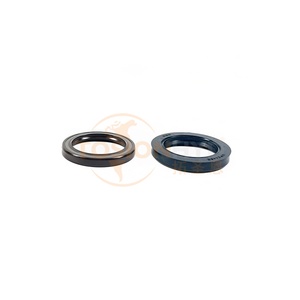 Kit de réparation d'étanchéité Tosion S51 51V060 51V080 51V110 51V160 51V250 avec huile - Product Image 6