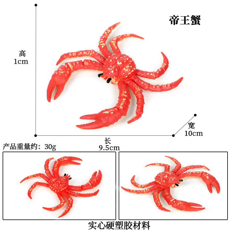 crabe royal coloré 869