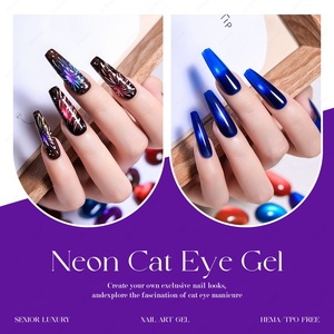 JTING Nouvelle Arrivée 12 Couleurs Vernis Gel Néon Effet Œil de Chat Effet Galaxie Vernis à Ongles Gel Effet Œil de Chat Sans TPO/Hema Fournisseur OEM ODM Populaire - Product Image 6
