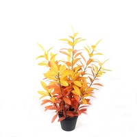 7290 Yongyue extérieur artificiel 80cm arbres bonsaï à feuilles persistantes avec 12*12cm Pot de fleur vert/automne couleurs disponibles