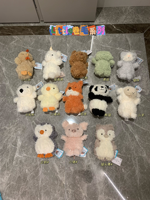 Jouet en peluche gelée série Little Curly: chaton, ours en peluche, poupées chiot, jouets cadeaux pour enfants, jouets mignons pour enfants
