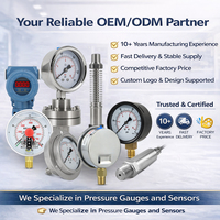High Precision Factory Wholesale Flange Back Connection Pressure Gauge for LPG Gas Water Pressure Inspection