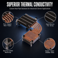 Dissipateur thermique personnalisé en cuivre à double module, refroidisseur passif de CPU, assemblage de ailettes en aluminium OEM pour serveur, FPGA industriel, GPU