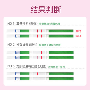 5/ - Product Image 2