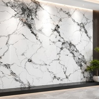 Panneau mural commercial WYRAX Panda en PVC blanc effet marbre anti-UV 1220x2440mm 3.0mm pour salle de sport et douche