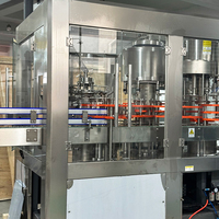 Ligne automatique de machine à emballer de remplissage de seau de bouteille d'huile de cuisson d'arachide de palme d'arachide