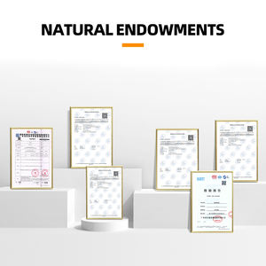 三相 ATS 電気制御盤は、エレベーター用の二重電力自動切替と配電保護を提供します - Product Image 6