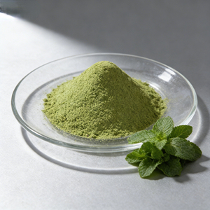 Fabrieksgroothandel Kruidenextract <span class=keywords><strong>Pepermunt</strong></span> Poeder Groen Poeder HPLC Getest Gezondheidsvoeding Kwaliteit Bladdeel Trommelverpakking - Product Image 1