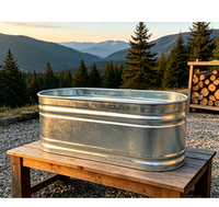 Baignoire Métallique Intégrale pour Jardin, Cour et Patio, Résistante aux Intempéries, Revêtement Anti-rouille, Idéale pour les Amateurs de Loisirs à Domicile