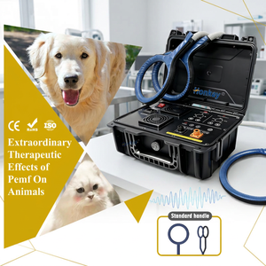 Máquina de Terapia PEMF para Mascotas, Precio de Fábrica, Fácil de Usar, Mejora la Circulación Sanguínea, Dispositivo de Bienestar para Mascotas, para Clínicas Veterinarias - Product Image 1
