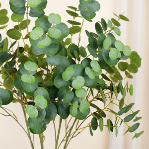 Ramo de Hojas de Eucalipto Artificiales de 30cm-100cm de Altura, Simulación Realista, Decoración de Plantas de Interior para Escritorio - Product Image 3
