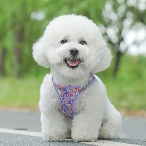 Ggtd <b>Pet</b> <b>Harness</b> With Leash Breathable Floral Print For Small Medium Dogs And Cats - Product Image 4