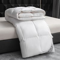 Couette en duvet de plumes d'oie/canard bio en gros pour lit Queen/King, idéale pour l'hiver et l'usage domestique, inspirée de l'hôtel Hilton